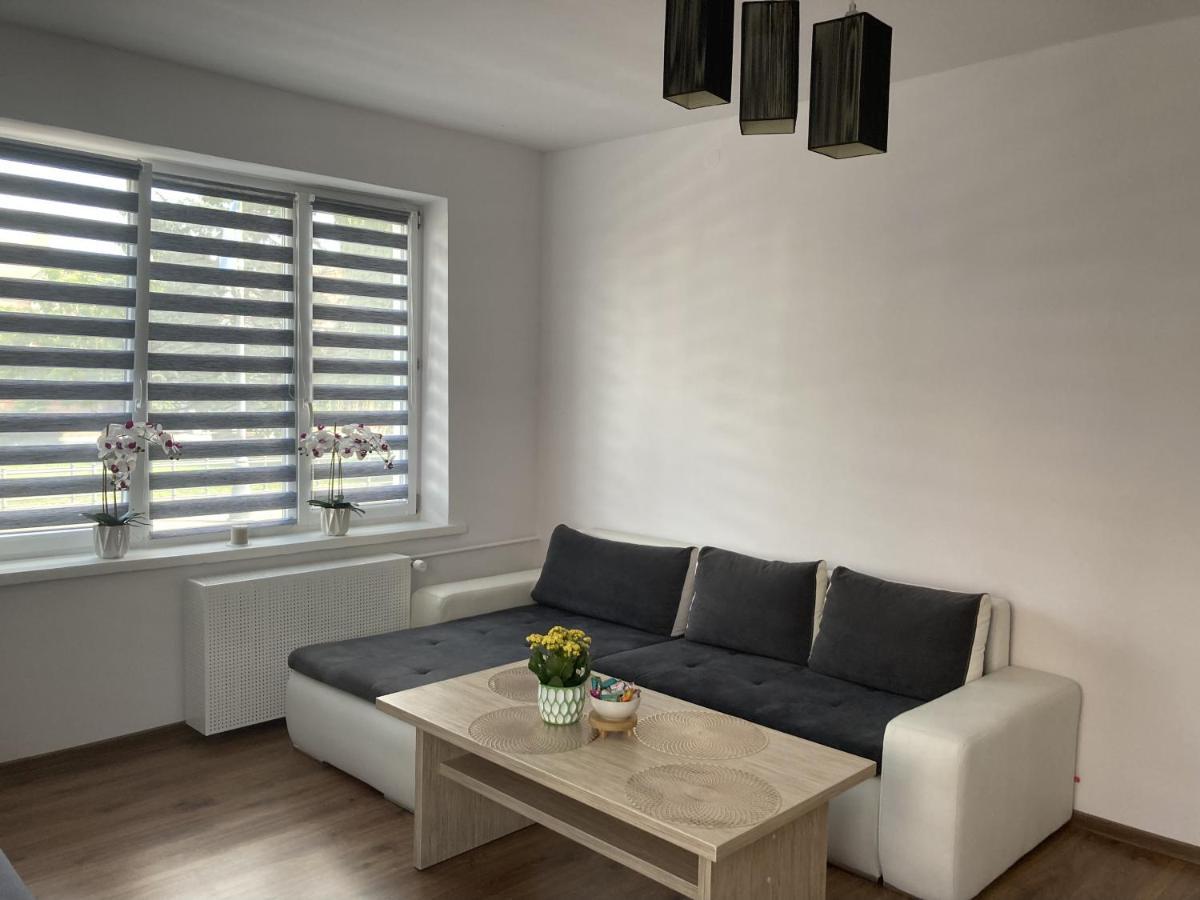 Apartament W Centrum Malborka Διαμέρισμα Εξωτερικό φωτογραφία